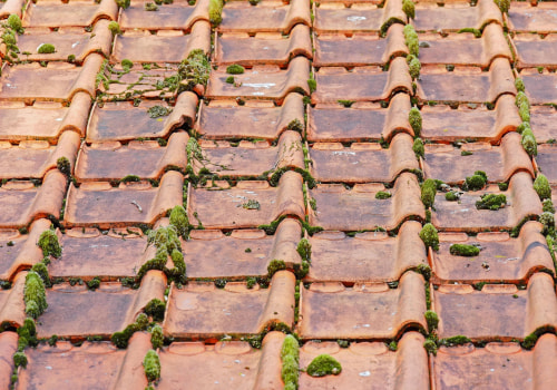 Ensure Building Integrity with Roof Replacement in Northern VA